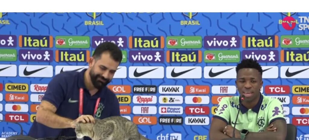 Manejo de assessor da CBF com gato que apareceu em coletiva causa polêmica. Foto: Reprodução