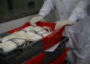 Hemoba está com estoques em baixa e convoca doadores