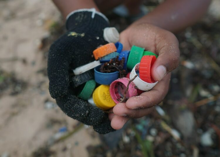 Projeto Mares mobiliza estudantes e comunidade em limpeza de praia e ação subaquática na Ilha de Itaparica